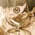 Monkish BEER HOPE LOVE Luttich Glassware  (One)