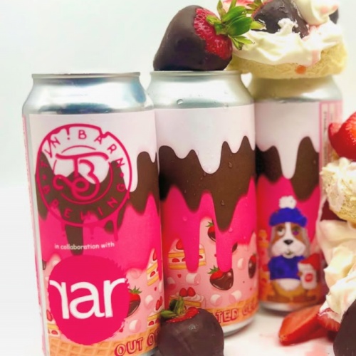 TIN BARN / RAR - OUT OF MELTED GELATO SMOOTHIE SOUR 4.5%