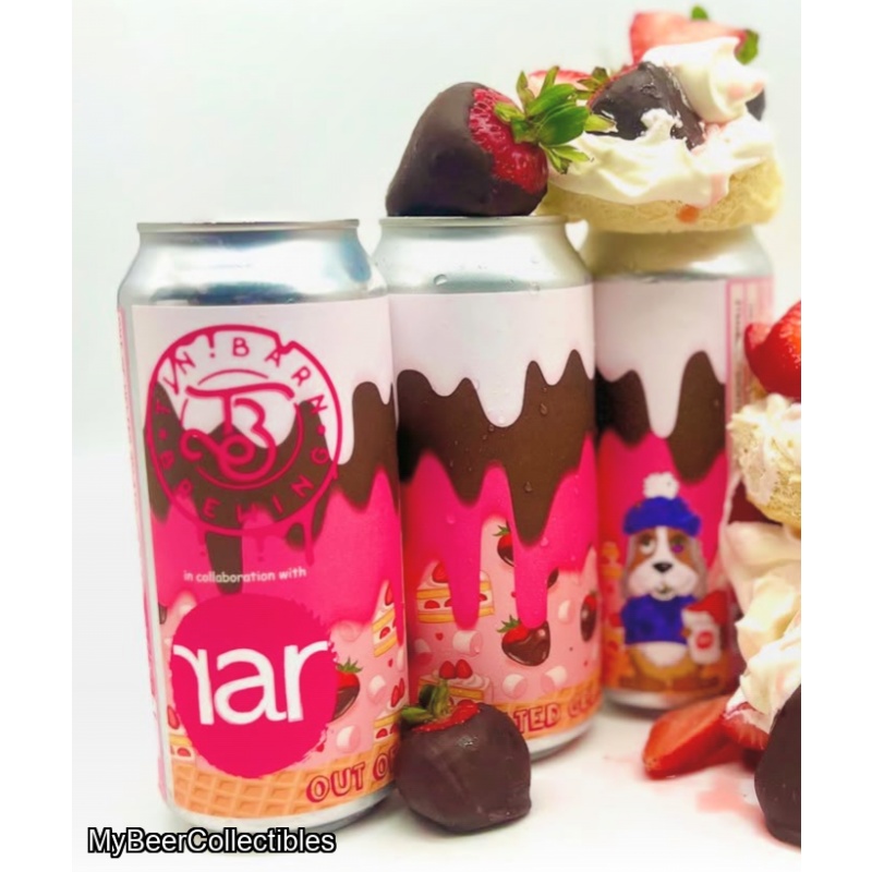 TIN BARN / RAR - OUT OF MELTED GELATO SMOOTHIE SOUR 4.5%