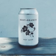 ROOT + BRANCH YUZU LAGER 5%