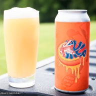 RAR PULP DOWN UNDER IPA 6.2%