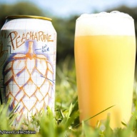 RAR HOP ISOLATION PROJECT W/ PEACHARINE IMPERIAL IPA 8.5%