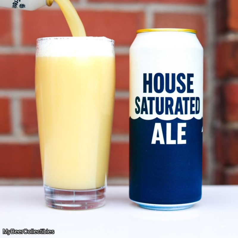 RAR HOUSE SATURATED ALE IPA 7.9%