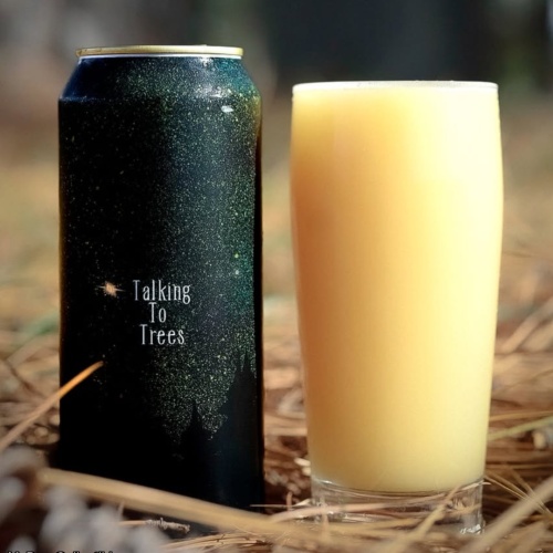 RAR TALKING TO TREES (FRUITED) IMPERIAL IPA 10.1%