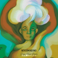 Deep Fried -  Neverminding (1 can)