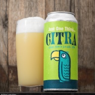 Green Cheek - Just One Thing Citra (2 cans)