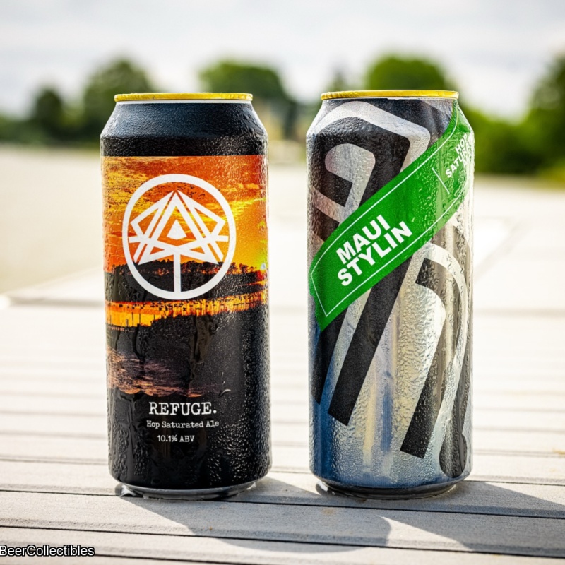 Rar - Hop Saturated Mixed 2 Pack (6/8)