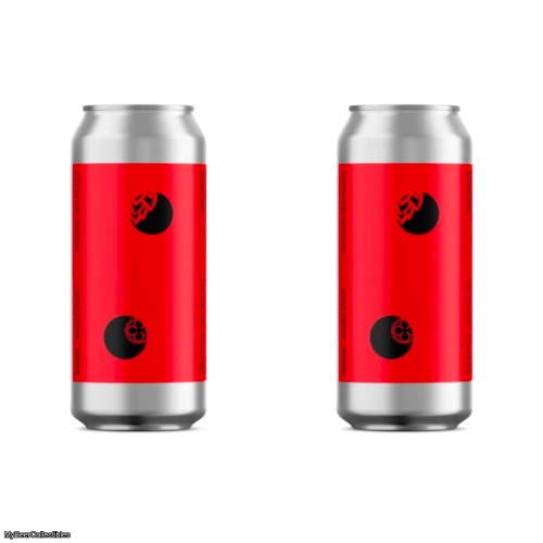 Monkish - Invisible Enigma (2 cans)
