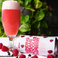 FIDENS BLENDING DREAMS: CHOCOLATE RASPBERRY FRUITED SOUR ALE 5%