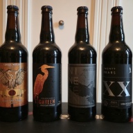 Central Waters Anniversay vertical 16-21 (2014-2019)