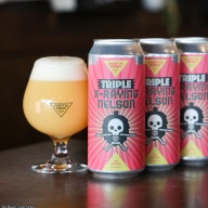 North Park - Triple X-raying Nelson (2 cans)