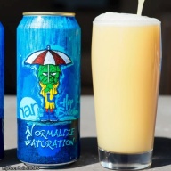 RAR / HOP BUTCHER FOR THE WORLD - NORMALIZE SATURATION IMPERIAL IPA 11.1%