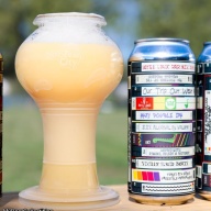 RAR / BOTTLE LOGIC - OUR TRIP OUT WEST IMPERIAL IPA 8.5%