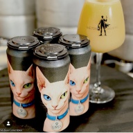 Shelton - Nine Lives (1 can)