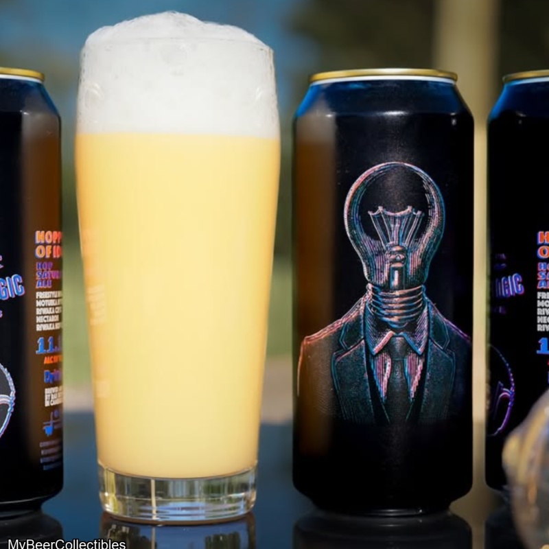 RAR / BOTTLE LOGIC - HOPPED FULL OF IDEAS HOP SATURATED ALE 11.1%