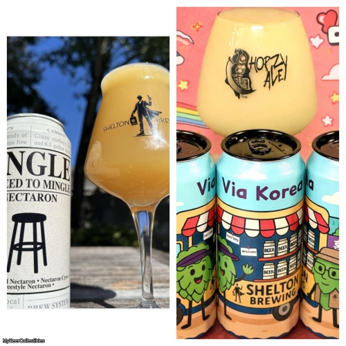 Shelton - Mixed 2 Pack w/ via korea