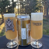 Troon - Slumbering Wraith (1 crowler)
