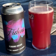 FIDENS BLENDING DREAMS - RASPBERRY, BLUEBERRY AND BLACKBERRY FRUITED SOUR 5%