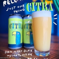 Green Cheek - Just One Thing Citra (2 cans)