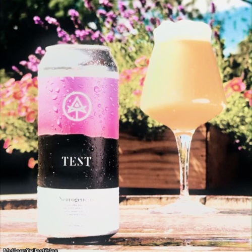 AUTODIDACT / TEST - NEUROGENESIS IMPERIAL IPA 10.1%
