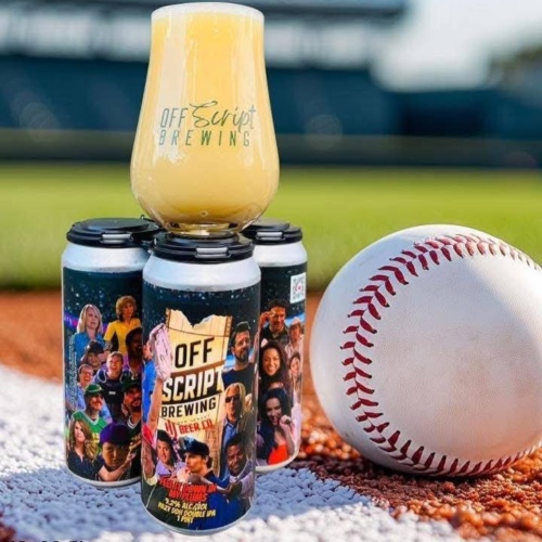 Offscript / NJ Beer - Feel It Down In My Plums  (1 can)
