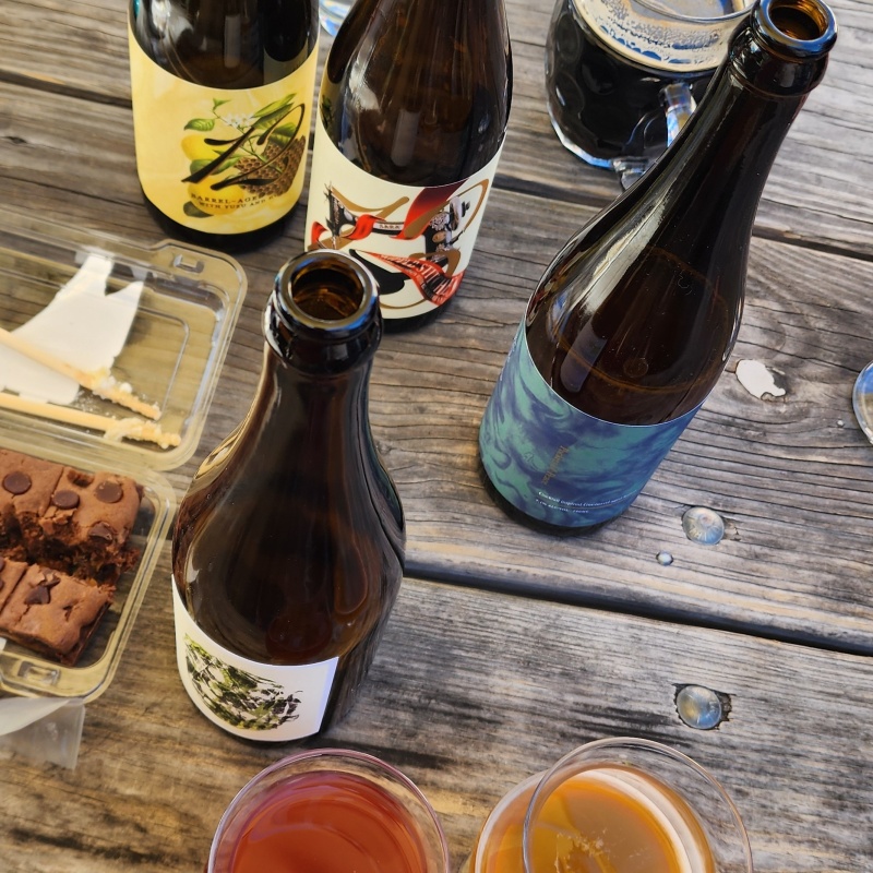 13th Anniversary Sante Adairius SARA Skipped Stitches Gin Barrel-Aged w Black Currants