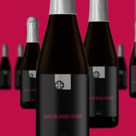 Monkish Say Surrender (2025)