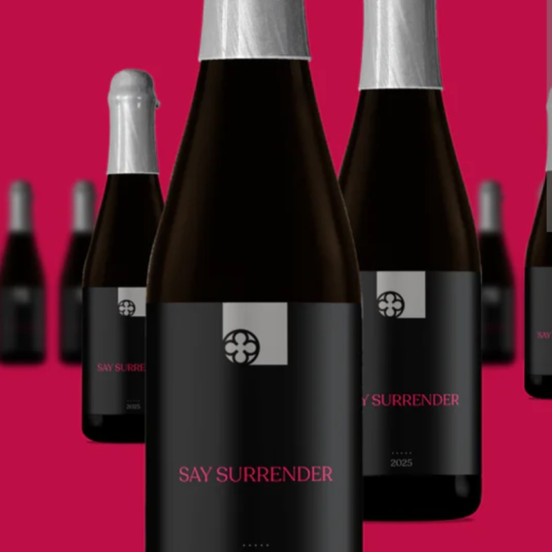 Monkish Say Surrender (2025)