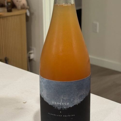 Floodland Exoculo (2025 harvest, bottled 2026)