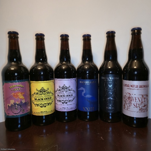 Central Waters 6 Pack Bottles