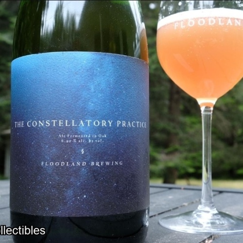 Floodland 2024-2025 The Constellatory Practice