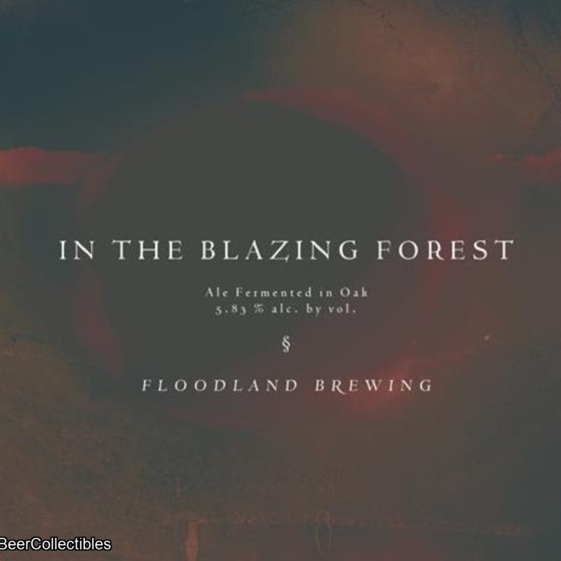 Floodland In the Blazing Forest, blend 3 2025