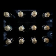 Allagash Coolship - Vintage 12 Pack (2011 to 2014)