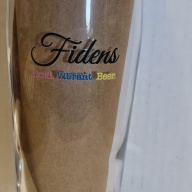 Fidens B.V.B. Willi Glass