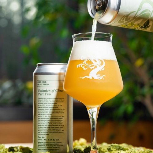 ***1 Can Tree House Evolution of Citra Pale Ale***