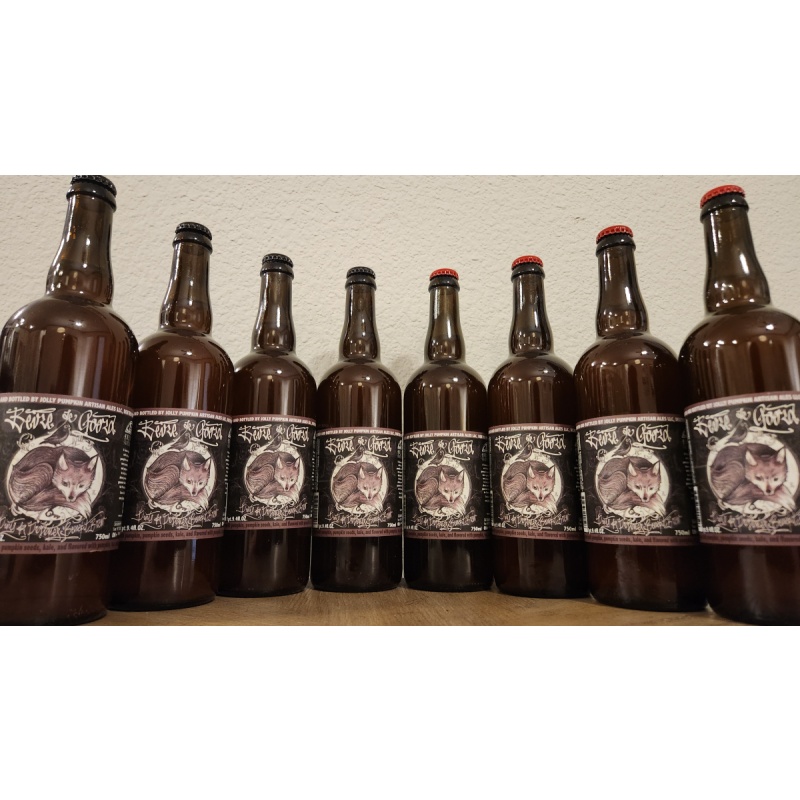 Vintage Jolly Pumpkin Farmhouse Ales (12 Pack) - 750ml