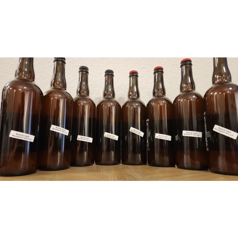 Vintage Jolly Pumpkin Farmhouse Ales (12 Pack) - 750ml