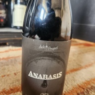 Side Project Anabasis #5