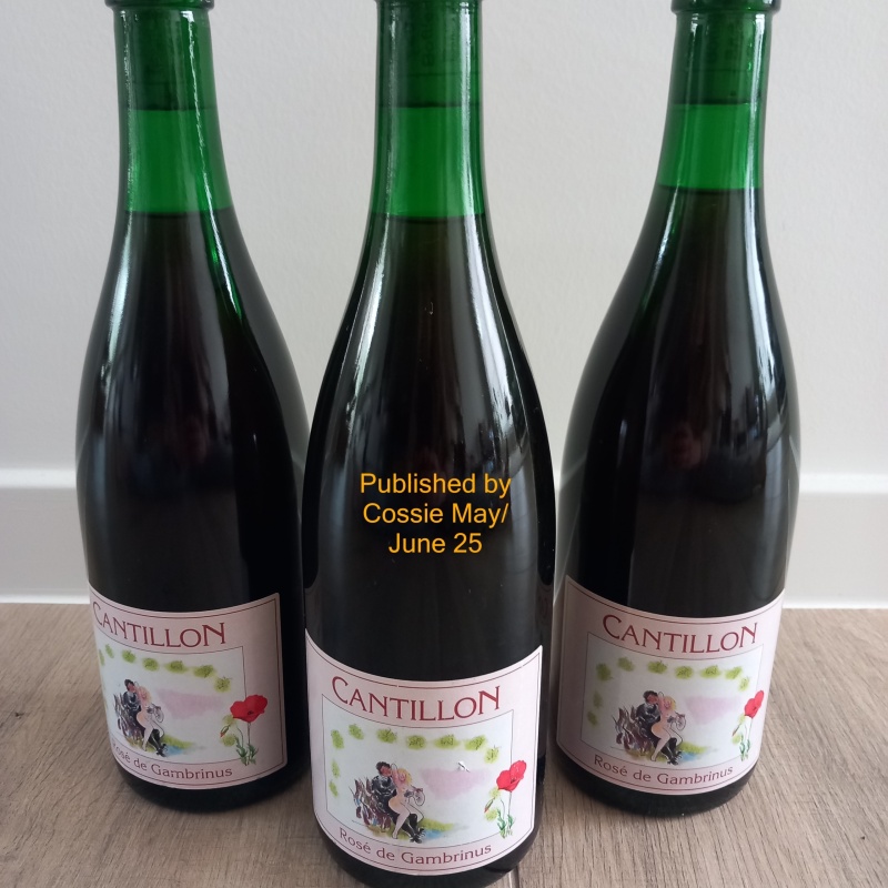 3x CANTILLON Rosé De Gambrinus 2019