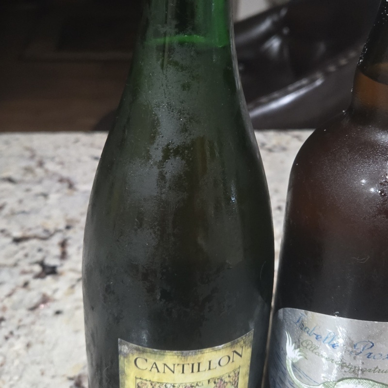 Cantillon Don Quijote, Lost Abbey Isabelle Proximus, and Lost Abbey Veritas 004 + two surprise extras