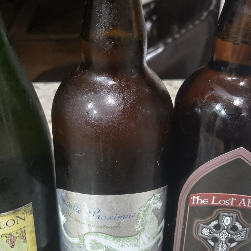 Cantillon Don Quijote, Lost Abbey Isabelle Proximus, and Lost Abbey Veritas 004 + two surprise extras