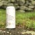 Trillium Double Dry Hopped (DDH) Congress Street — 4-pack