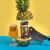 Great Notion 4-pack of Pineapple Space invader plus sticker
