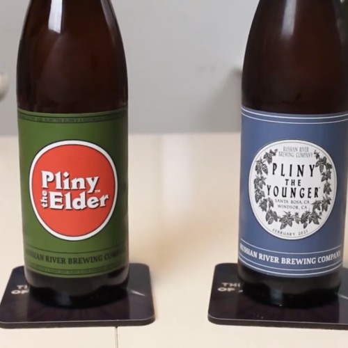 Pliny the elder and free Pliny The Younger 2022