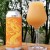 Electric Monkish Great Notion Treehouse Brewing Salacious Affinity Guava Mochi JB DIPA Create A Potato King Julius Space Cookie Experimental
