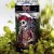 Great Notion 4-pack DDH Ripe