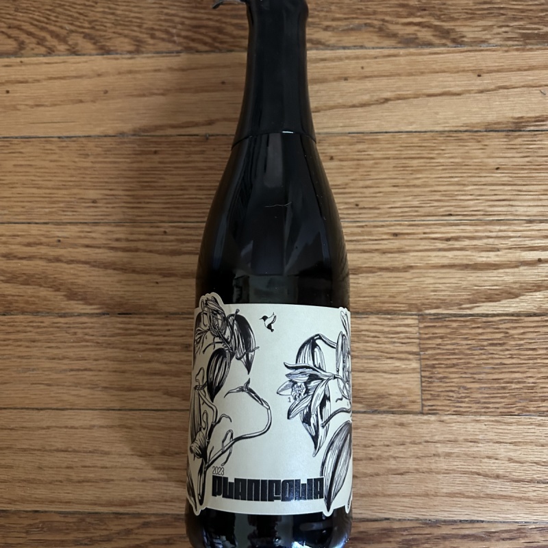 Phase Three Planifolia Imperial Stout 2023