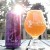 Tree House :  HAZE (DIPA) 4x Cans  (Picked  Up 01/06/18)