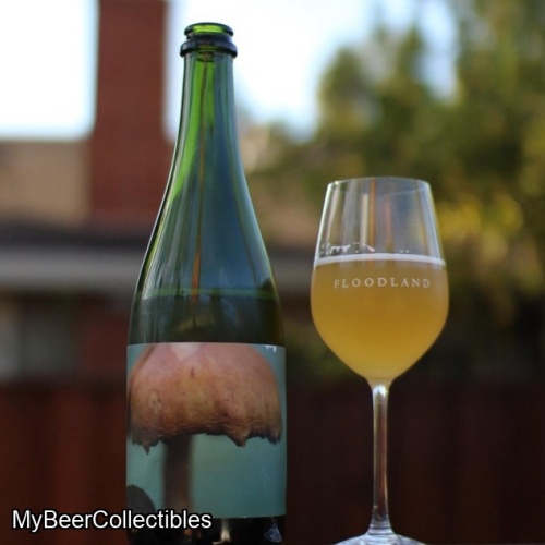 Floodland Cut Their Grain and Place Fire Therein (2025)