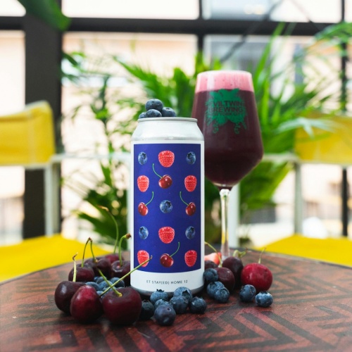 EVIL TWIN ET STAY(ED) HOME 12 SOUR ALE 6%